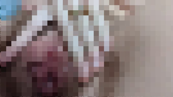 This is all you get, and it's all you deserve 😒✨  Findom nonbiary https://t.co/CnQI8b0RfC<a href="/tag/piercings"class="tags"><span>#piercings</span></a><a href="/tag/trans"class="tags"><span>#trans</span></a><a href="/tag/nonbinary"class="tags"><span>#nonbinary</span></a>