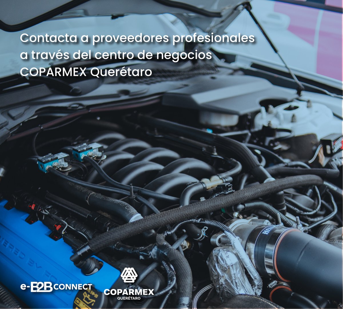 eb2b_connect's tweet photo. ¿En búsqueda de proveedores de alta especialidad?

@coparmexqro1 presenta su nuevo centro de negocios digital, donde podrá establecer vínculos con varios sectores profesionales del estado de Querétaro.

Vincúlese #GRATIS en https://t.co/SJuzhCYGpL

#negociosdigitales #coparmexb2b https://t.co/ePj6OVNlXU