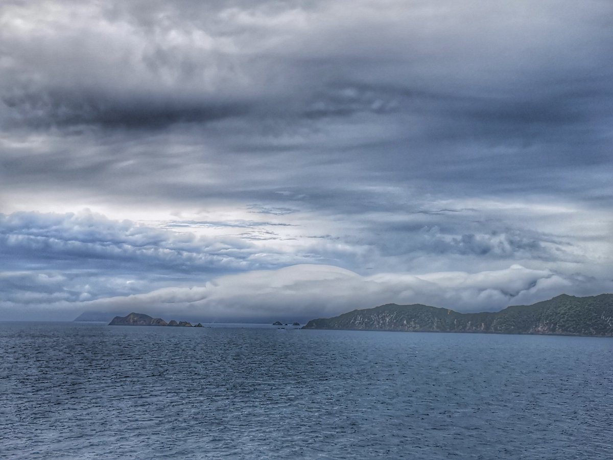 Wildbaynz 🌻🌼🌺 tweet media