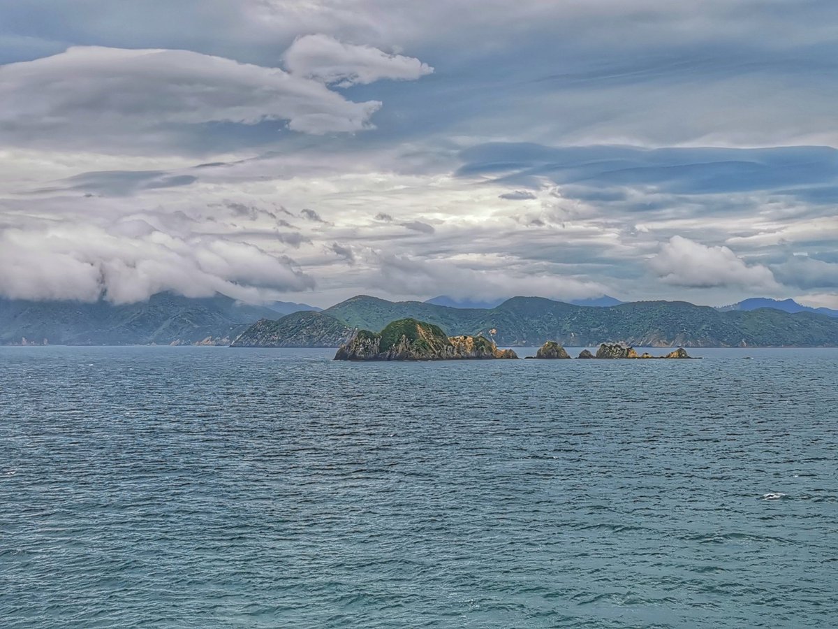 Wildbaynz 🌻🌼🌺 tweet media