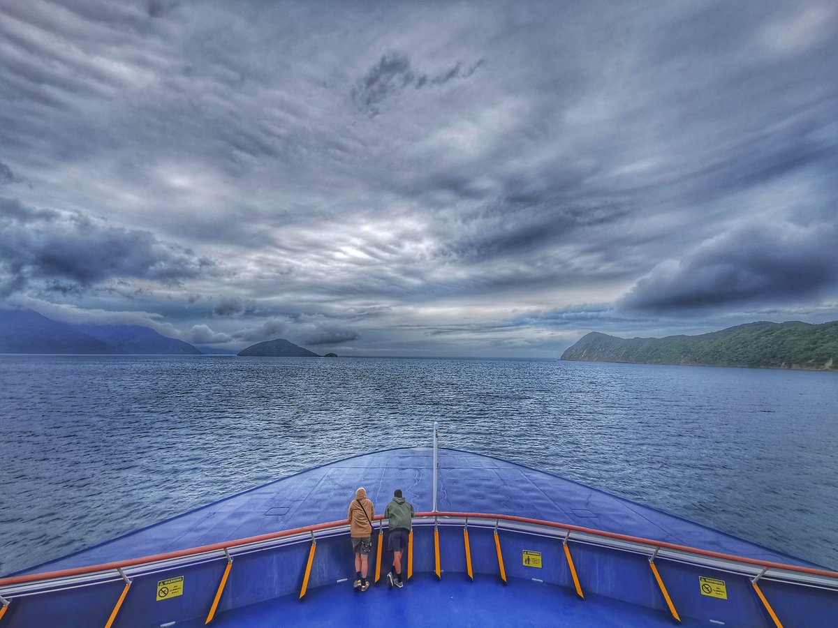 Wildbaynz 🌻🌼🌺 tweet media