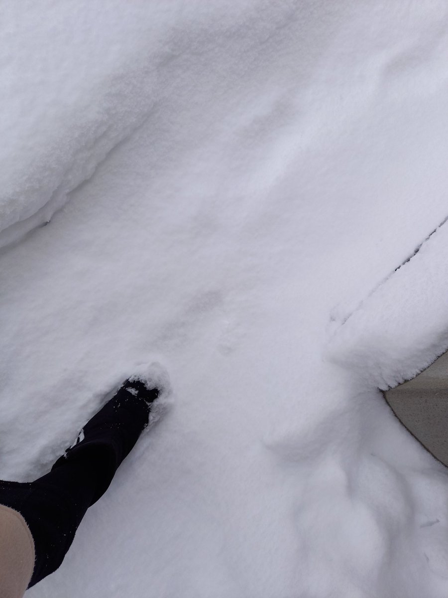 断捨離中！コメ逃げ✖︎様♡ KOMINE コミネ SK-809 CEレベル2 マルチチェストプロテクター SK