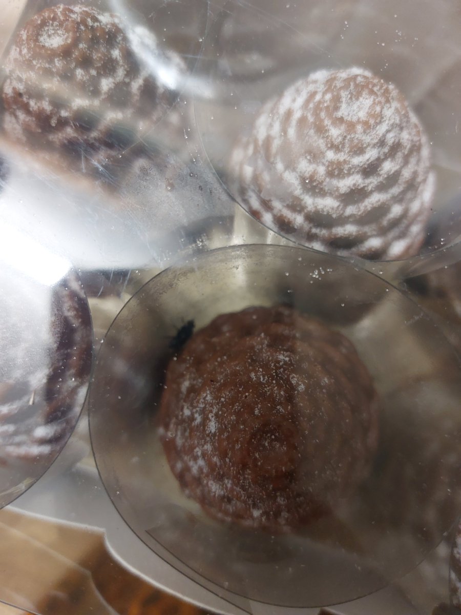HayleeProwse's tweet photo. Boxing day desert ruined by finding a fly in our unopened @marksandspencer chocolate pine cones 🤮 https://t.co/STYKMXXz9r