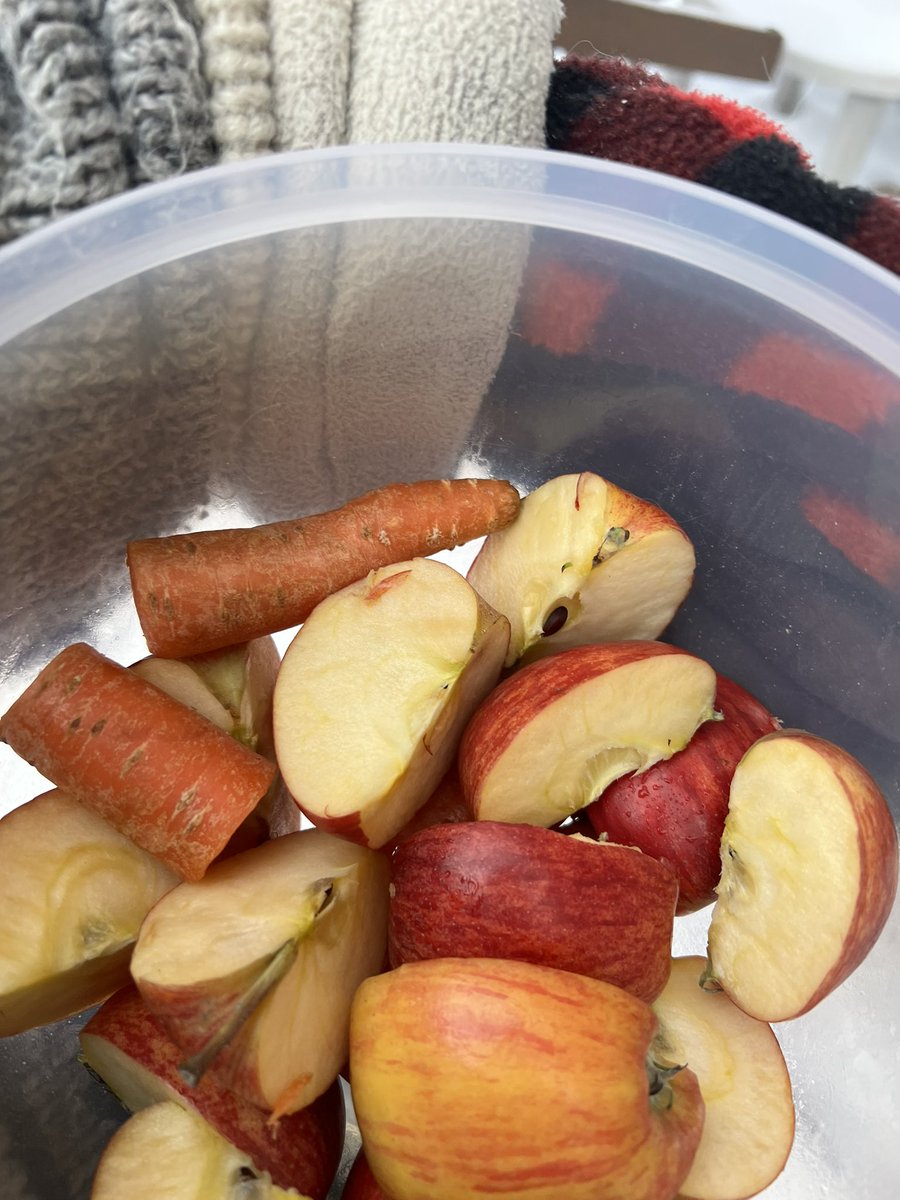MichelleL_Bacon's tweet photo. Treats for the animals https://t.co/IBnrDSNLO0
