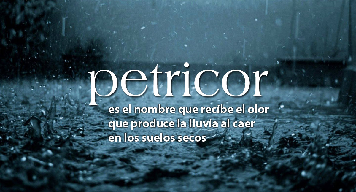 Con 30° en Santiago empezó a caer algunas gotas de lluvia... salgan a oler Petricor!!!!