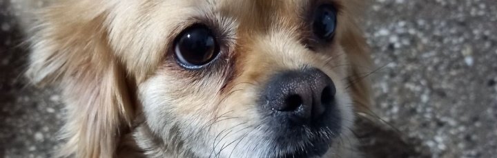 1Pandita1's tweet photo. Te me fuiste mi gorda:( https://t.co/S4HrFldM8G