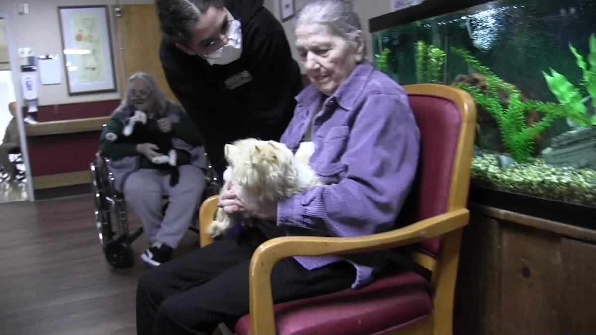 CalAging's tweet photo. The #LTCOP Robotic Companion Pet Project has been a *paws*-itive experience for residents living in long-term care facilities like #Seaview in Eureka, CA. These furry pets have helped combat loneliness & social isolation during the pandemic. 🐱😍🐶
🔗 https://t.co/rPDchYJCE3 https://t.co/a36rJyaxZL