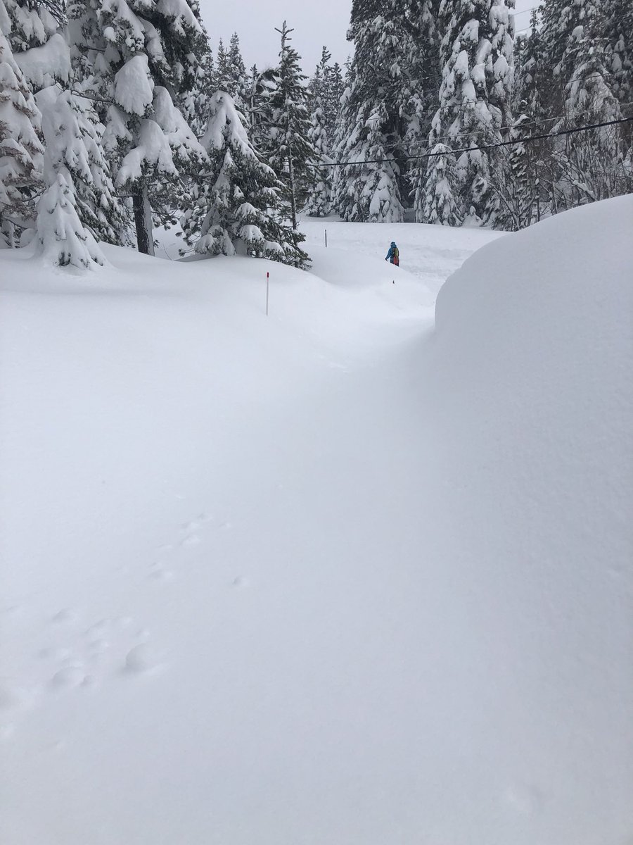 KellyT1963's tweet image. SNOWMAGGEDON! Just God answering our prayers for water for our drought that is no more!