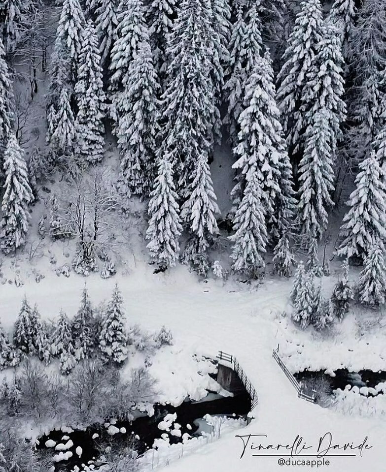 IG Piemonte & Valle d’Aosta tweet media