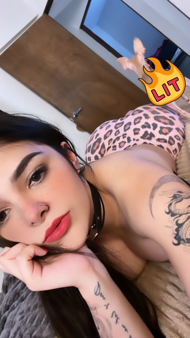 🐶 Buenas tardes ❤️ https://t.co/B9jVfPUPEY