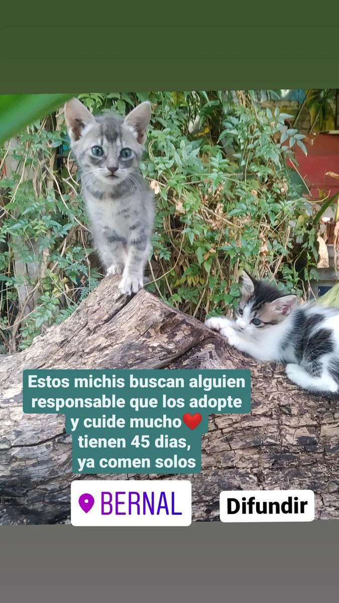 melisayo's tweet photo. Me ayudan con un rt porfa? https://t.co/L8Nnp4RPZO