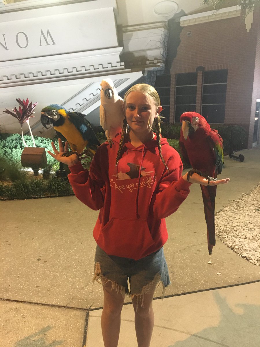 808Pappy's tweet photo. So that happened. 😃🦜🦜🦜 https://t.co/sVMJ7yhoD5