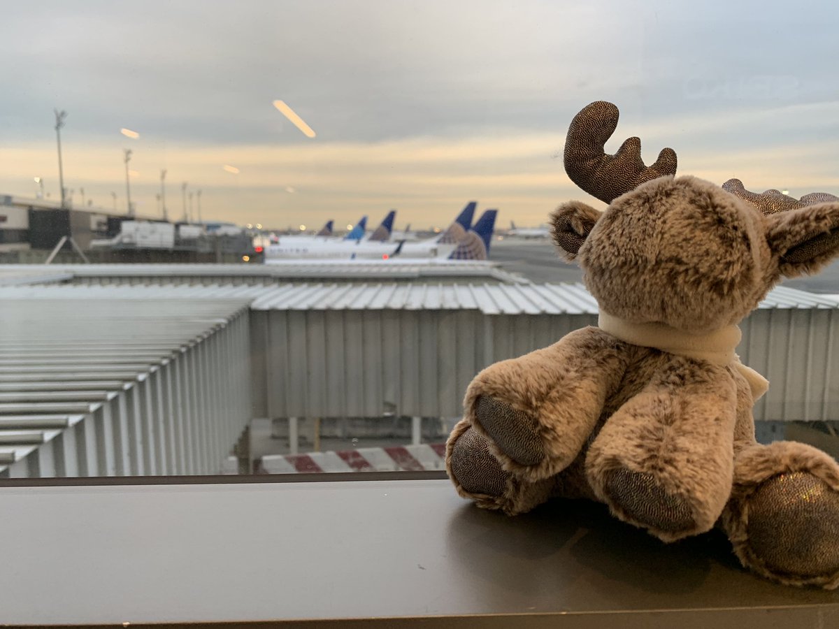 MyMooseTravels's tweet photo. Stunning view from Terminal C @EWRairport, finally made it to #UnitedStates! Off to @LASairport next with @united #moosetravels #flyingisliving https://t.co/8FiXyJZahT