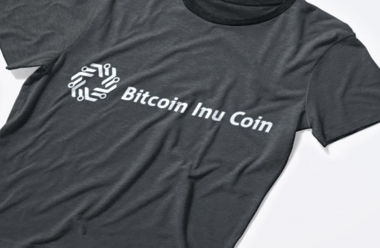 BitcoinInu1's tweet photo. Félicitations a la communauté, on a passé de 0.00002$ a 0.0002$ en 24h, cherchons plus de communauté !

Demain nous faisons un burn de 500.000 pièces soit environ 250$ https://t.co/6SQqFqLnKT