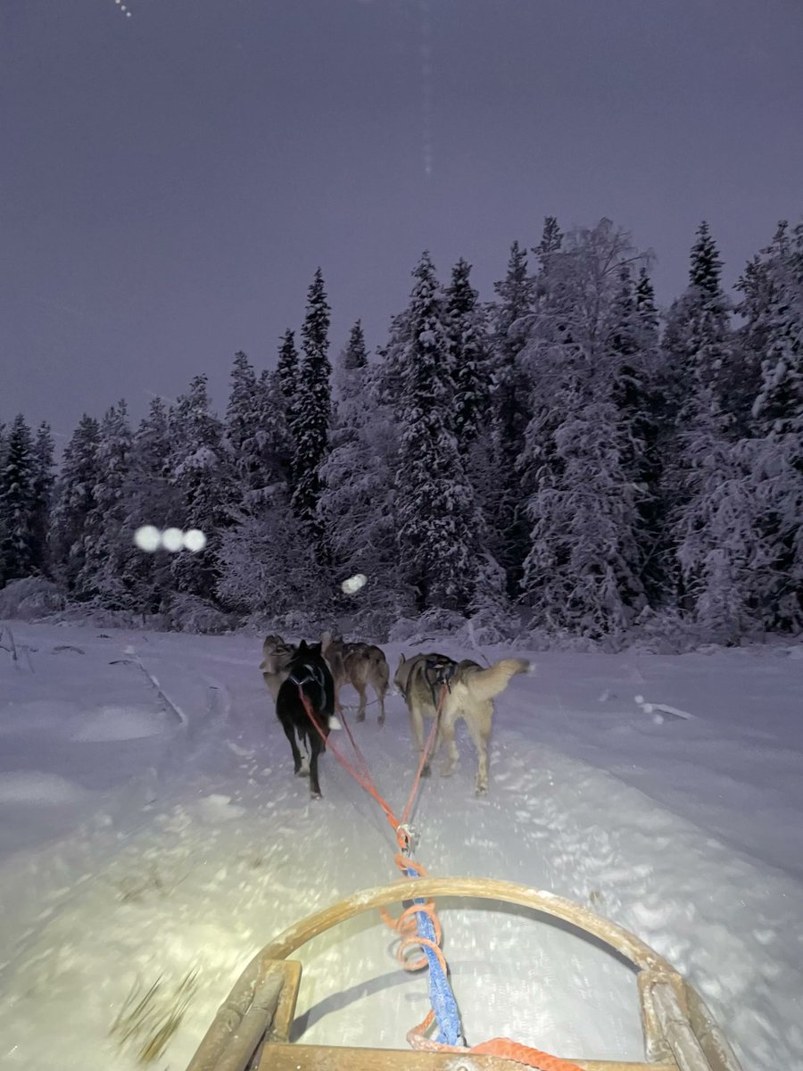 ExploreLife
Sport / Recreation Ideas - Try Dog Sledding⠀
⠀
Try Dog Sledding this year!
⠀
buff.ly/3xEmRGM⠀

Twighlight snow covered forest dog sledding image added by <a href="/backpacks/">backpacks</a>.only
⠀
 #winter #ExploreLifeToday #dogmushing #mushing #dogsleds #dogsledding #sleddog ⠀