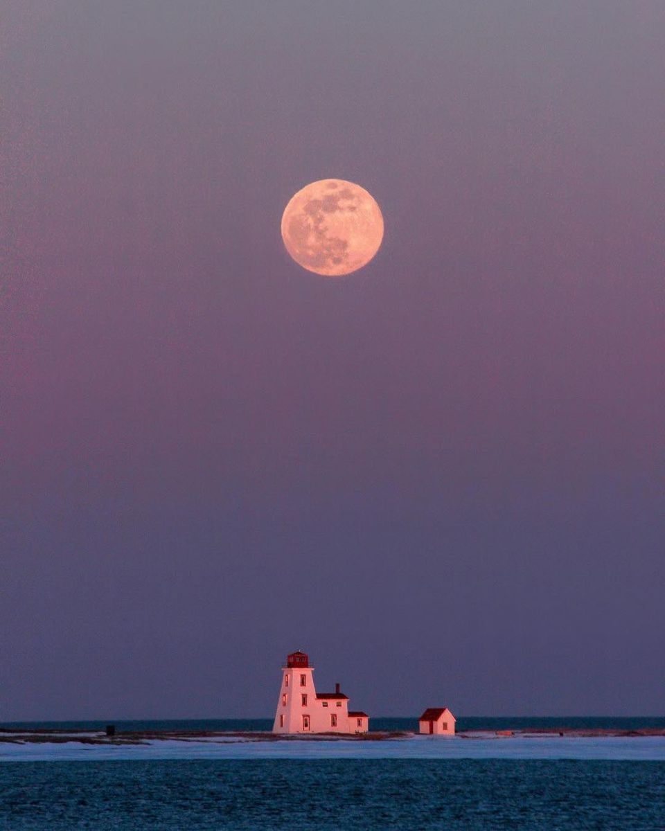Some island moments just take your breath away... 🌙
📍 Northport, <a href="/northcapedrive/">North Cape Coastal Drive</a> 
Photo by Mallory Murphy