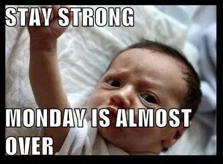 EbooksStash's tweet photo. #humor #meme #MondayMotivation #babies https://t.co/kvnYhoKGxI