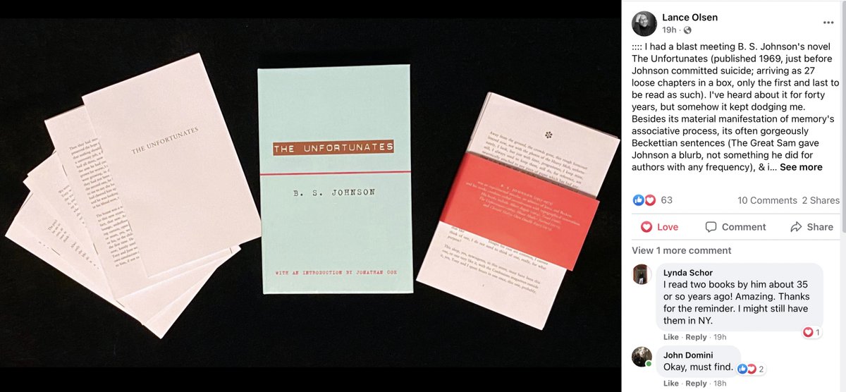 DavveroDomini's tweet photo. Alas, #LanceOlsen, gifted & discerning, doesn't do Twitter, but over on another site he's piqued my interest, oh majorly, concerning #BSJohnson, a tragic & little-known case out of Britain, & his novel THE UNFORTUNATES, on the blesséd @NewDirections. https://t.co/p92x9aBH4Q