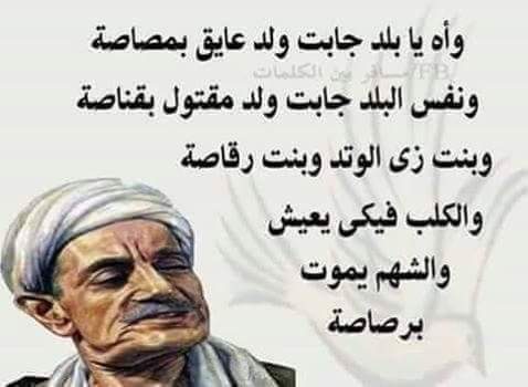 Nice_Zoal's tweet photo. https://t.co/vwmNmv62P4