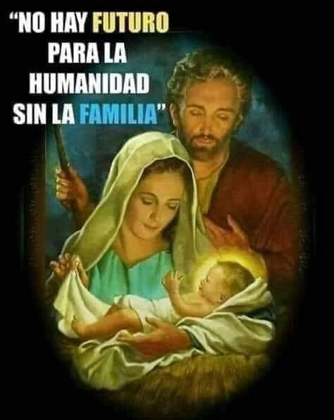 "No hay futuro para la humanidad sin la familia".