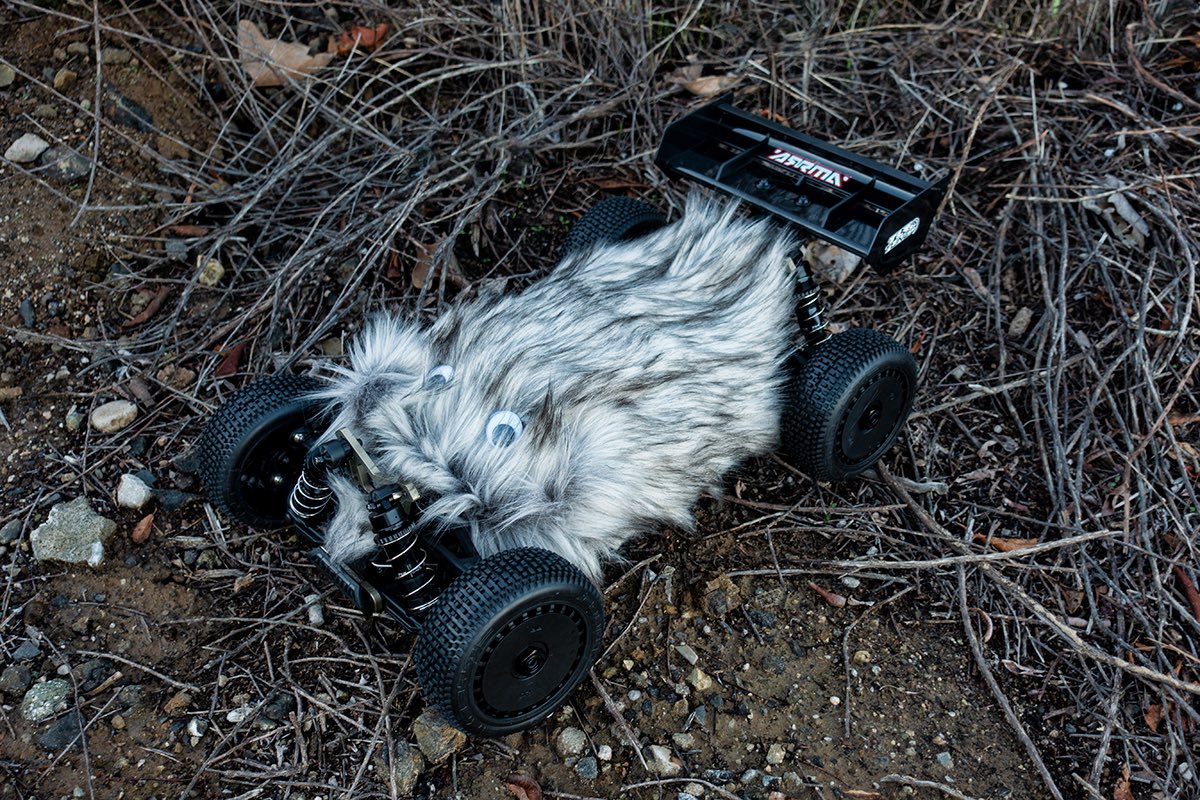 keeprcfun's tweet photo. Furry rc #arrmatyphon https://t.co/0xnQYln2aW