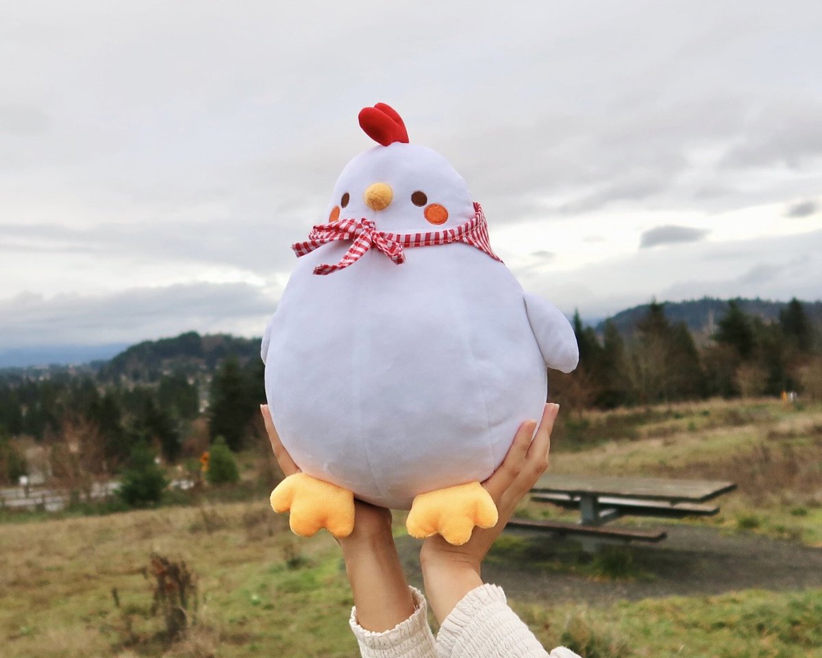 chocolettchoo's tweet photo. Have been taking this chicken everywhere trying to get the best picture 😂 https://t.co/BveTdSXnWG