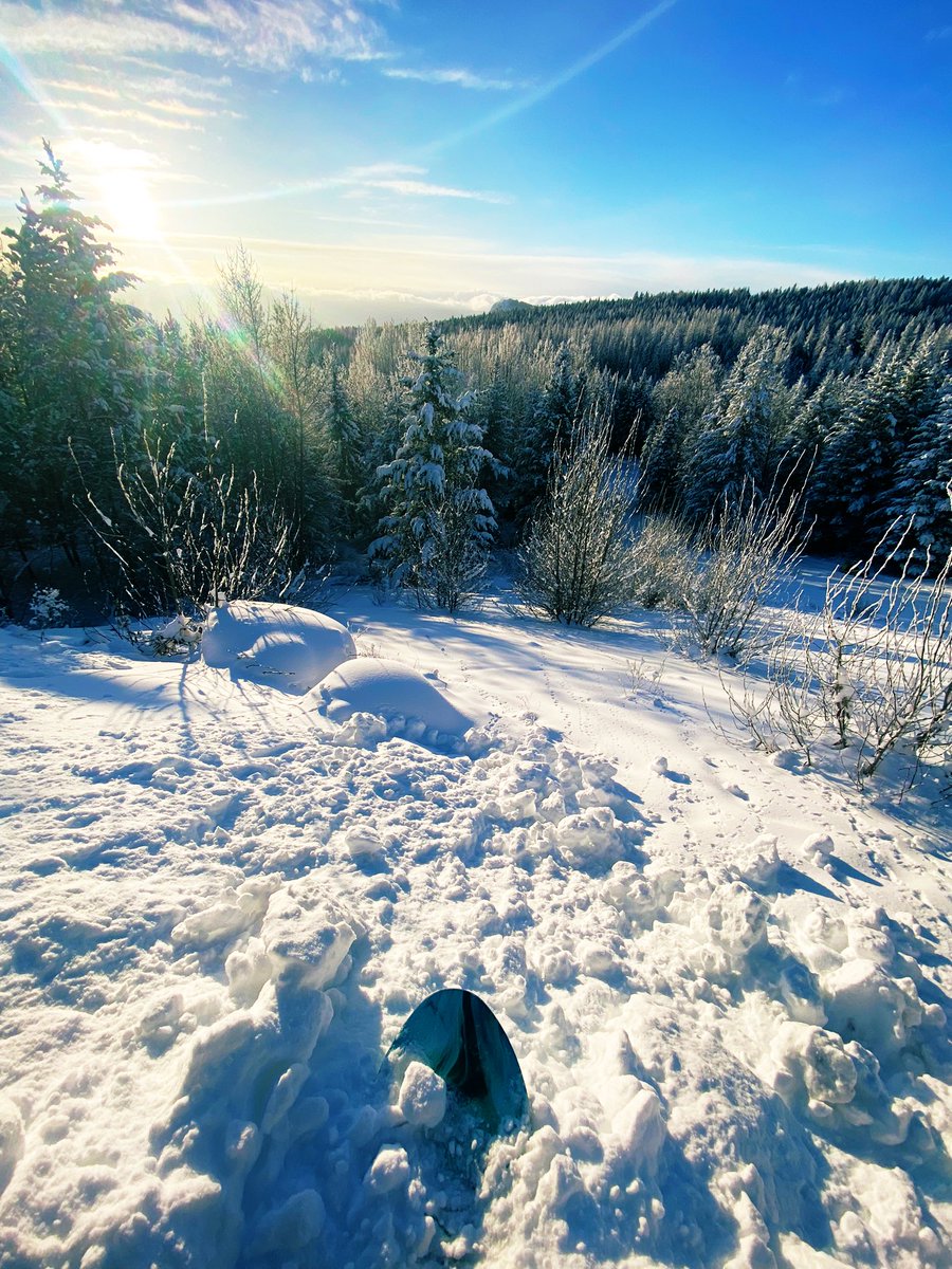 SHRED_ENT's tweet image. Happy holidays everyone ! We wish everyone an amazing holiday season and an epic New Years! @wiredsnow @ogio  @HMSCHL @dangshades @acaapparel #boxingdayshred #HappyHolidays #wiredsnowboards #homeschoolouterwear #reconseries #outoftheofficetomorrow