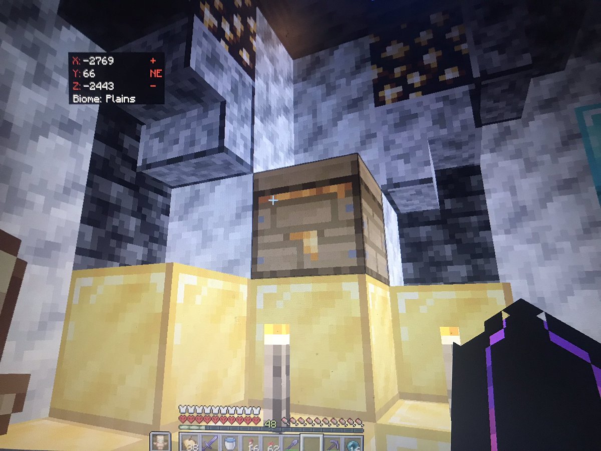 TrollerEst's tweet image. My amazing bee on my hardcore world #TrollCore, the bee is called #beezy and she has her own fund🥰
#Minecraft #viral #bee