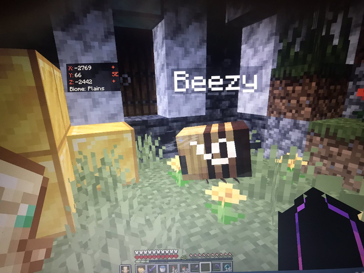 TrollerEst's tweet image. My amazing bee on my hardcore world #TrollCore, the bee is called #beezy and she has her own fund🥰
#Minecraft #viral #bee