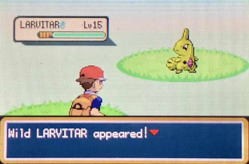 YourFriedBread's tweet photo. Shiny 5% Larvitar in Sevault Canyon after 6,436 REs!!!! Such an insane find, can’t believe I got this before a Cubone LMAO https://t.co/RMk7hoqQDY