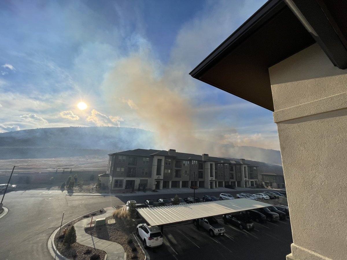 Madison MacDonald tweet media