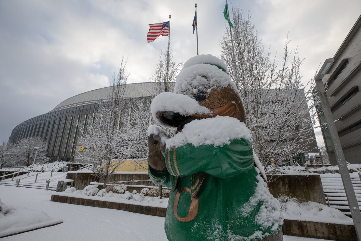 uoregon's tweet photo. There's snow doubt about it, campus looks gorgeous under a blanket of snow! 1/3 https://t.co/MyPmO8ITgV