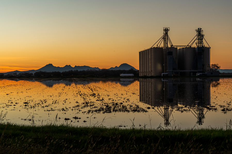 RiceNews's tweet photo. More #carice field winter scenes in Yuba and Sutter Counties. Brian Baer photographs. #sacvalley https://t.co/Dlf3tINhfh