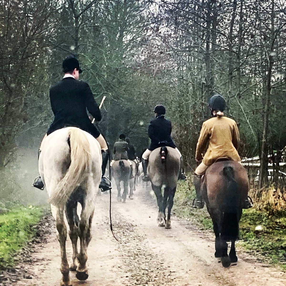 Lukesteele4's tweet photo. Foxes killed. Hounds run over. Peaceful protesters attacked.

If people wonder why I support the @HuntSabs, it’s because they are the thin blue line between protected wildlife being illegally killed and saved. https://t.co/Bg3ZkaXVrg