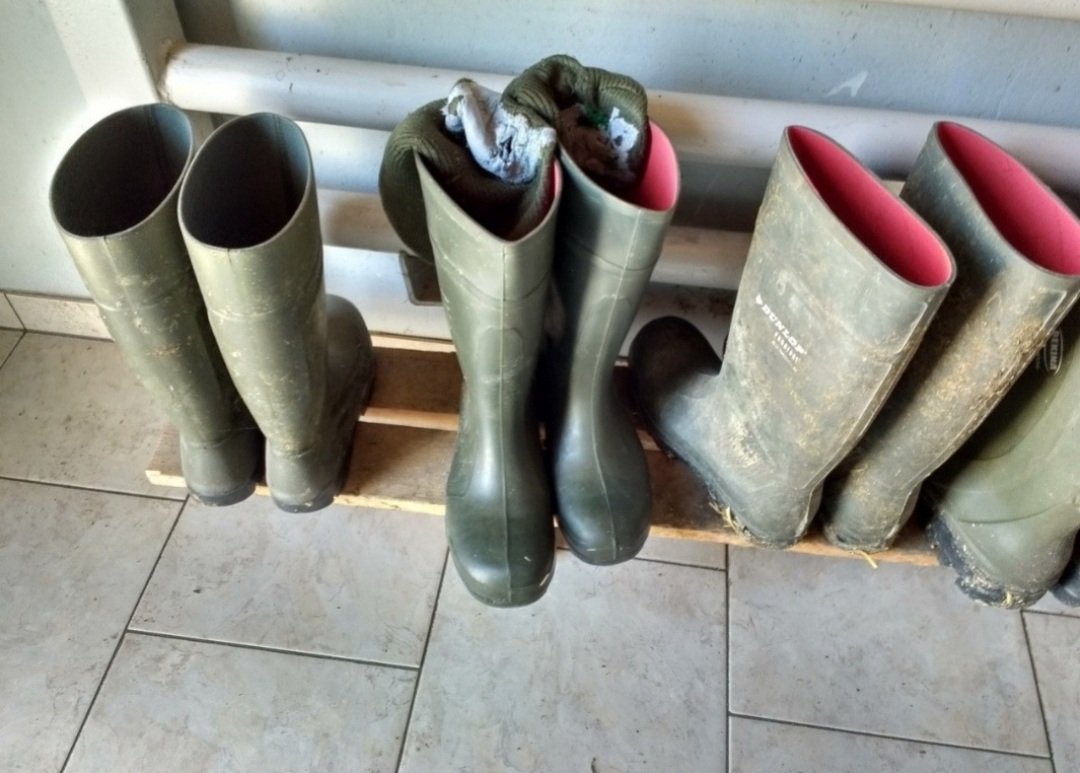 Oswald Bukowsky tweet media