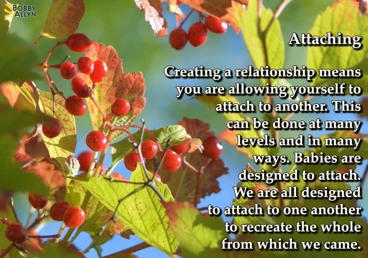 Whatever_Is_Is's tweet photo. 📫 Daily Reflection Dec 27, 2021
Creating a relationship means you are allowing yourself to attach to another. This can be done at many levels and in many ways...#Selflove #selfcare #relationships #attaching #inspiration #bobbyallyn
https://t.co/dvTbiQ2KpW https://t.co/JdXbW25FVo