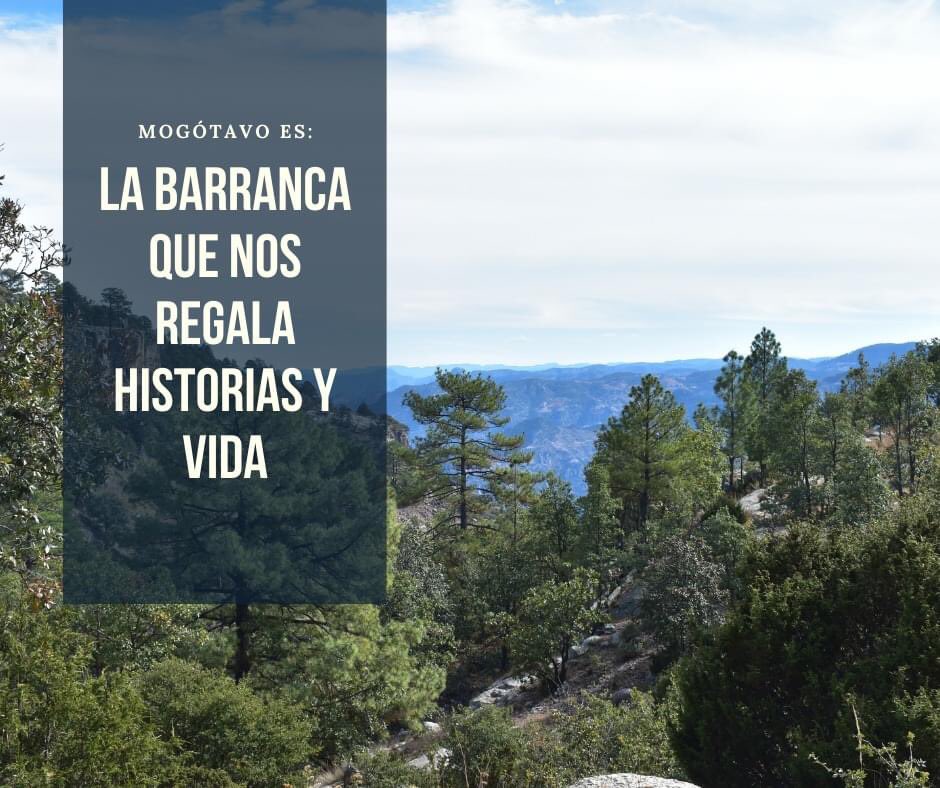 ATMogotavo's tweet photo. #Mogótavo no deja de defender su #Territorio 
Aquí seguimos, #resistiendo https://t.co/mOf3bEz7EN