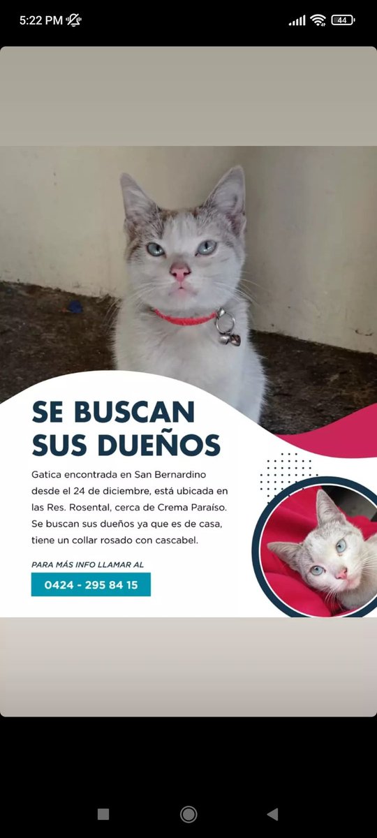 ATENCION <a href="/SanBernardinoVE/">San Bernardino, CCS</a> <a href="/Viyury1/">Viyury</a> <a href="/yelitzarg/">La loca de los gatos 🐾</a> <a href="/Andre_ina5/">🐾 J.V.A.🐾</a> <a href="/AlexCorbino/">Alex Corbino</a> <a href="/AyudaPerroGatos/">Ayudando a perros y gatos CCS</a> <a href="/divanparaperros/">Un Divan Para Perros y Gatos</a>