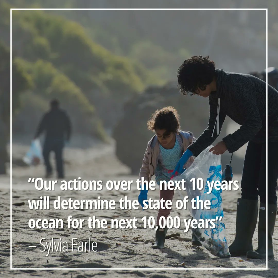 The ripple effect of our actions today will be felt for generations to come. Our call to protect our oceans is now! 🌎 🙏  🌊