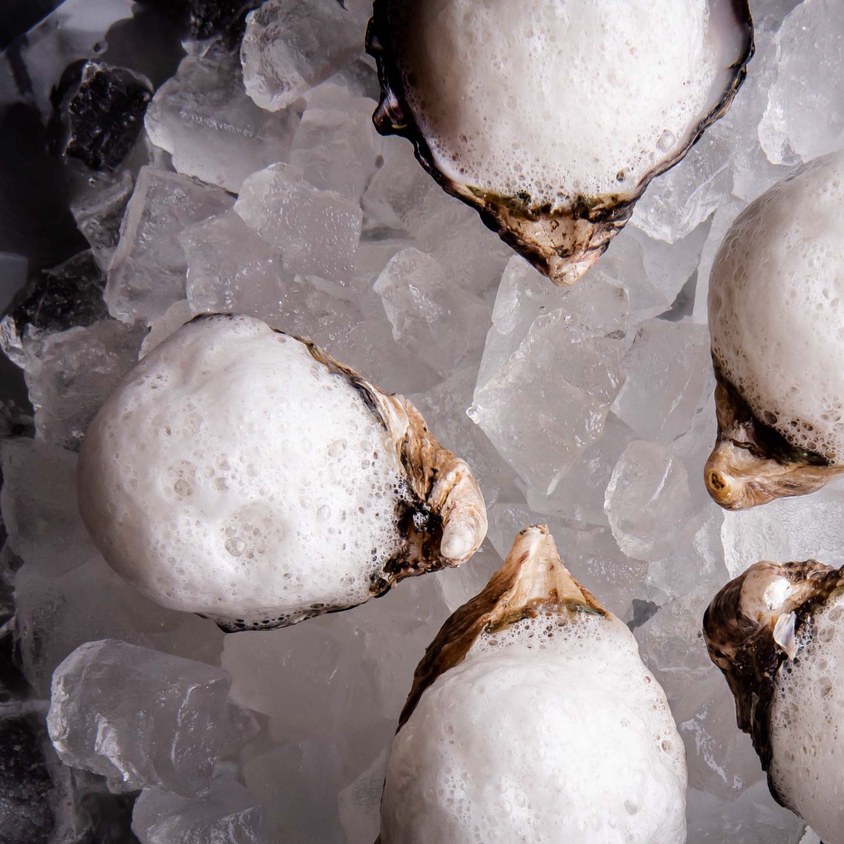 Experience the sea at #BarMar by <a href="/chefjoseandres/">Chef José Andrés 🕊️🥘🍳</a> in #Chicago. 🦪  Book now: fal.cn/3kWit.