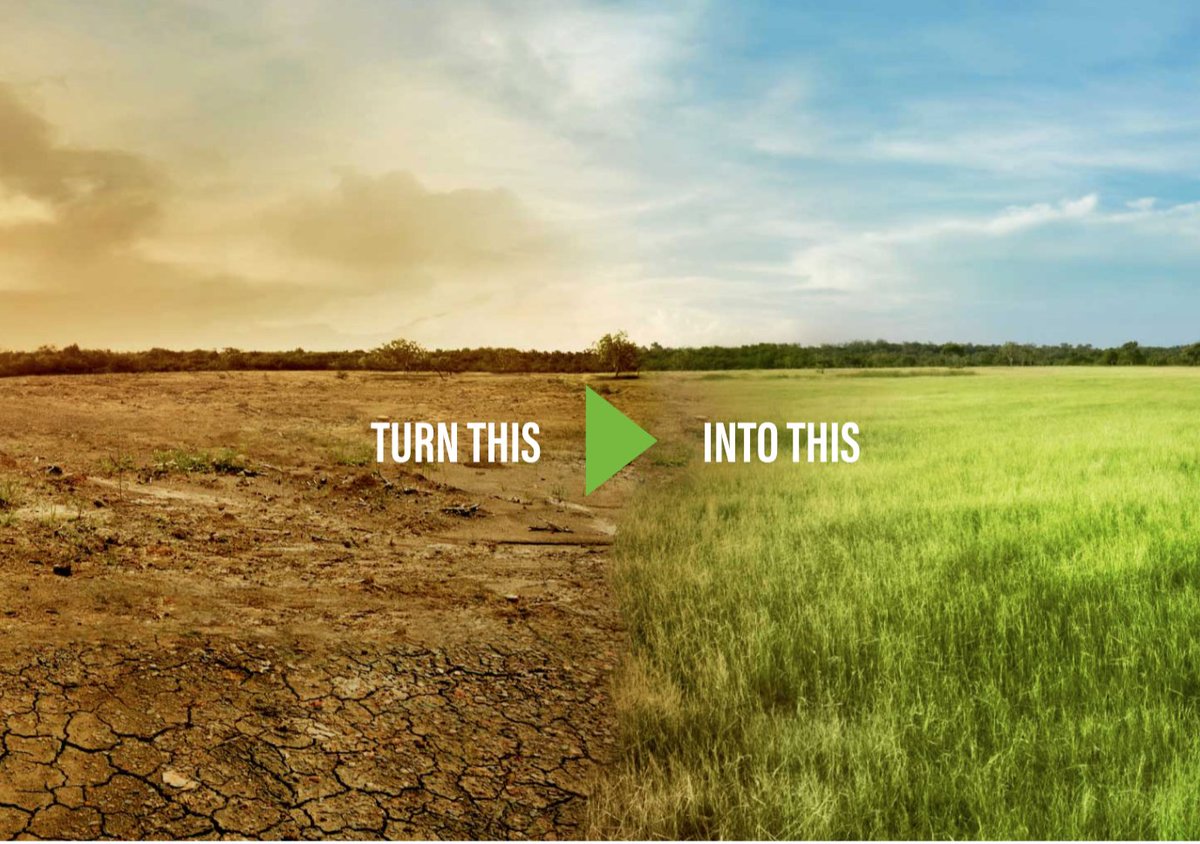 Adopt_A_Meter's tweet photo. Despite the challenges of 2021, we're so proud of all we've accomplished together. It's an inspiration to see what $5 &amp; the power of people can do. 

As the world heals, we hope to support nature in healing too. It's our chance to reverse #climatechange.
https://t.co/8HMKUkeFTX https://t.co/zfc8CxkU2g
