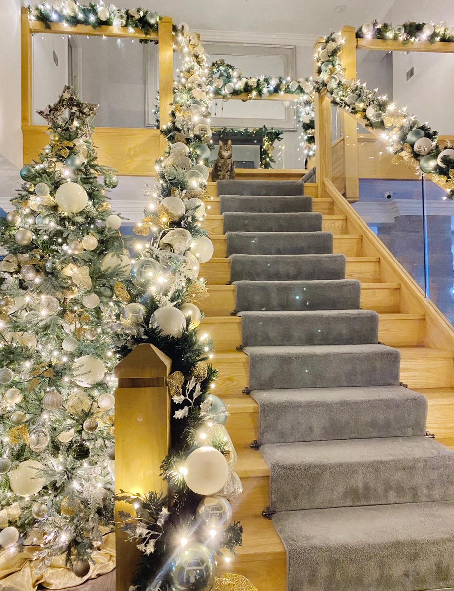 JamesArthur23's tweet photo. Bambi’s feeling festive 🎄 https://t.co/rgSbWrDr9Q