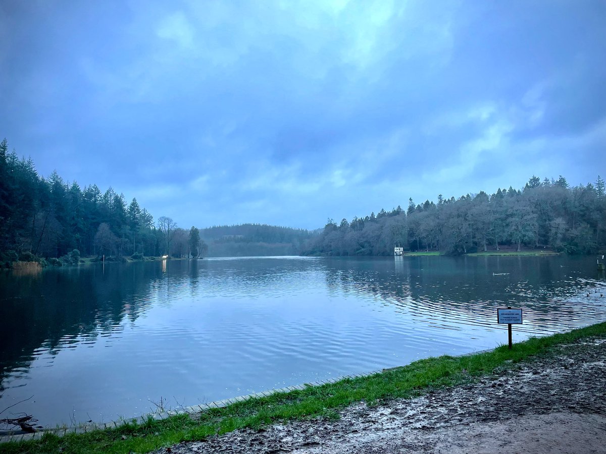 talktogini's tweet photo. Tranquility, fresh air, nature’s bounty = the perfect end to the perfect Christmas restoring homeostasis after a wonderful few days of feasting, family and festivities.
#postchristmaswalk #shearwater #mentalhealthmatters #walkforhealth #holistichealth https://t.co/31qPe3nbKE