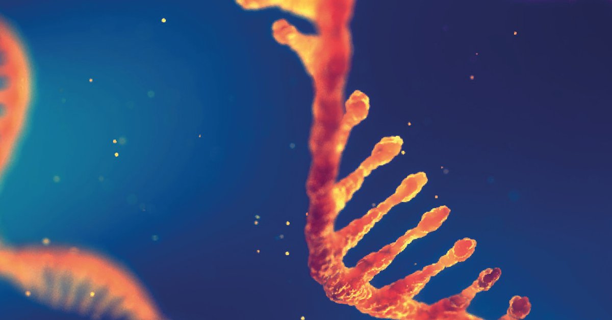 dotmatics's tweet photo. Dotmatics RNA Therapies Solution | https://t.co/bJCZq7D9MA Driving Innovation for Novel RNA-Based Therapeutics
#DrugDiscovery #RNATx #RNADiscovery #LabInformatics #Noveltherapeutics https://t.co/YWTvhAJAJu