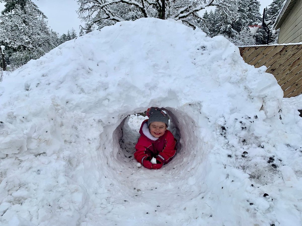 ZachsORoutdoors's tweet photo. The kids built a snow tunnel. It is very fine. 
#OregonSnow day 2 https://t.co/9S20eKxGZk