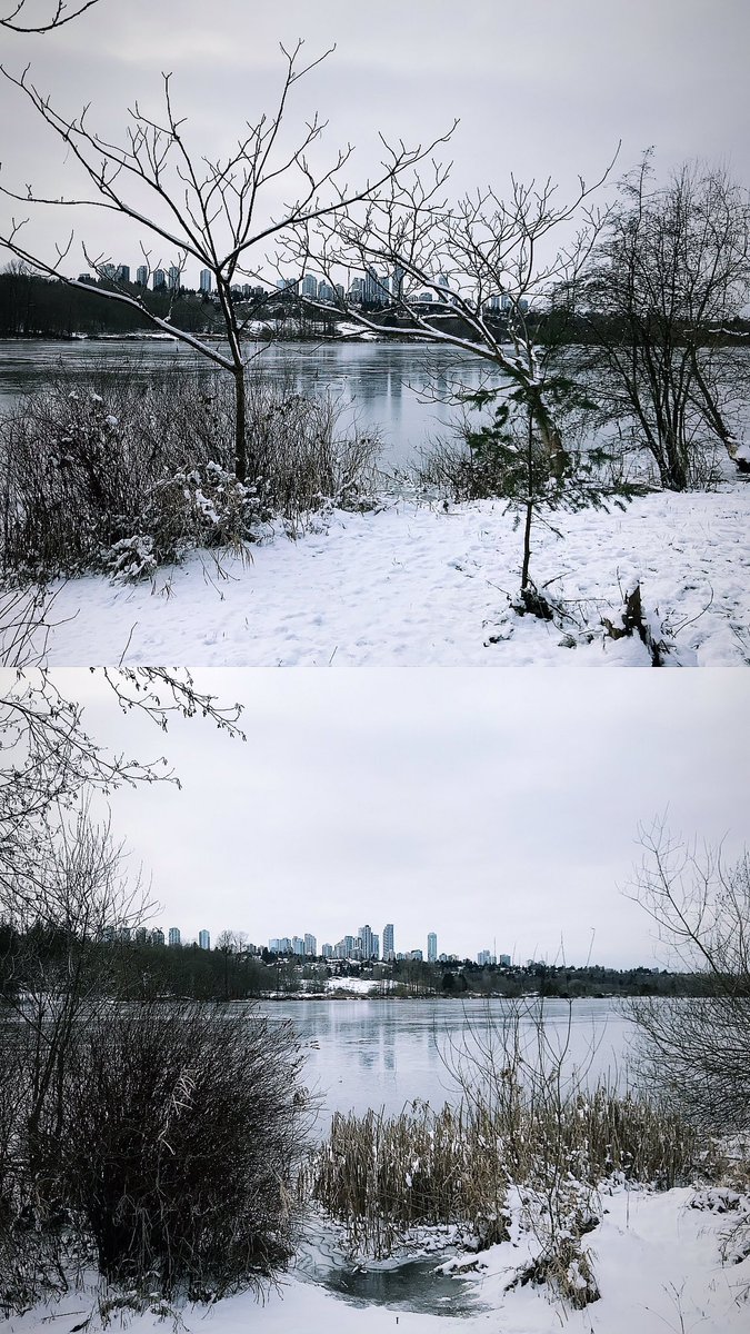 ManpreetSuhi's tweet photo. Today's walk around #DeeLake https://t.co/03lQpNlkNP