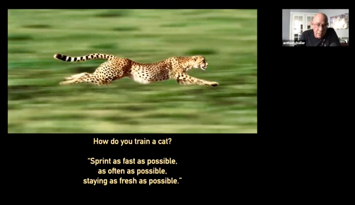 pntrack's tweet image. My son, @troyholler18, took a webinar I created two years ago and dressed it up for YouTube. Over 100 minutes of content. Free to all. Thanks Troy 

📺 youtu.be/KY4DIIWpPug