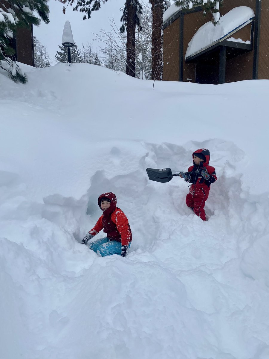 michellerdixon's tweet photo. The Great Dig Out of 2021  @TahoeWeather https://t.co/Q9ppzHNfak