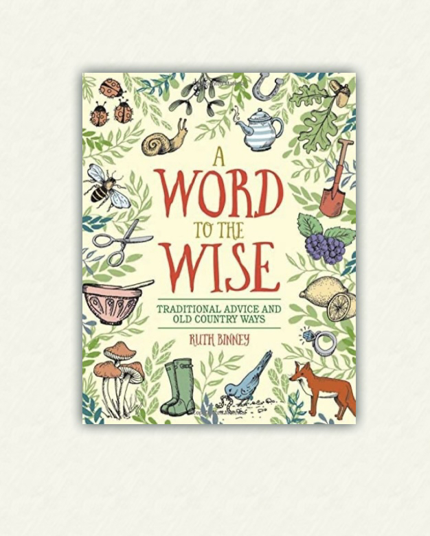 “A treatise on how we have (and have not) changed.”