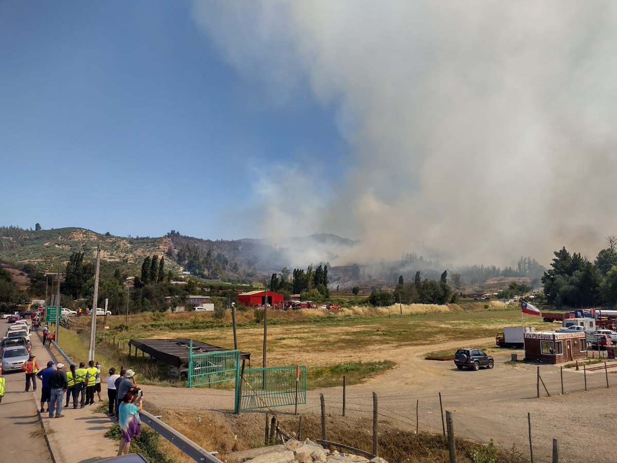 RedGeoChile's tweet photo. Un total de 25 unidades 🚒 de las regiones del Ñuble, Bio-Bío y La Araucanía quienes se encuentran combatiendo por tierra

💡🚫 La empresa #COPELEC informó sobre la suspensión del servicio eléctrico a 10 sectores de la comuna donde el siniestro está desarrollándose con intensidad https://t.co/aF6VMPeJW7